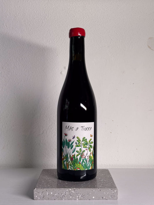 2023 Domaine de la Petite Empreinte, Mas a Tierra